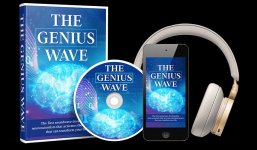 The Genius Wave369.jpg