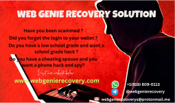 WEB GENIE RECOVERY SOLUTION.png